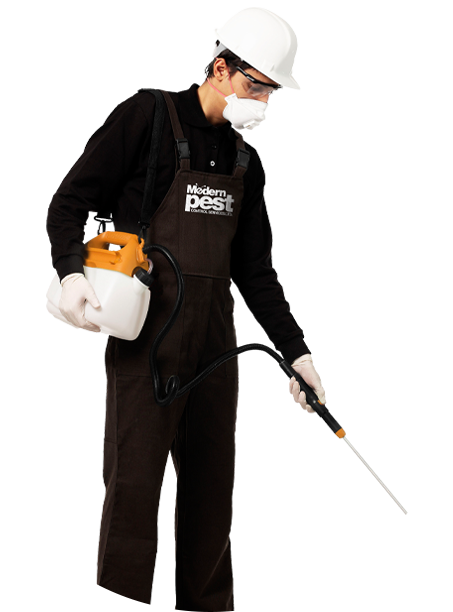 Modernpest Control
